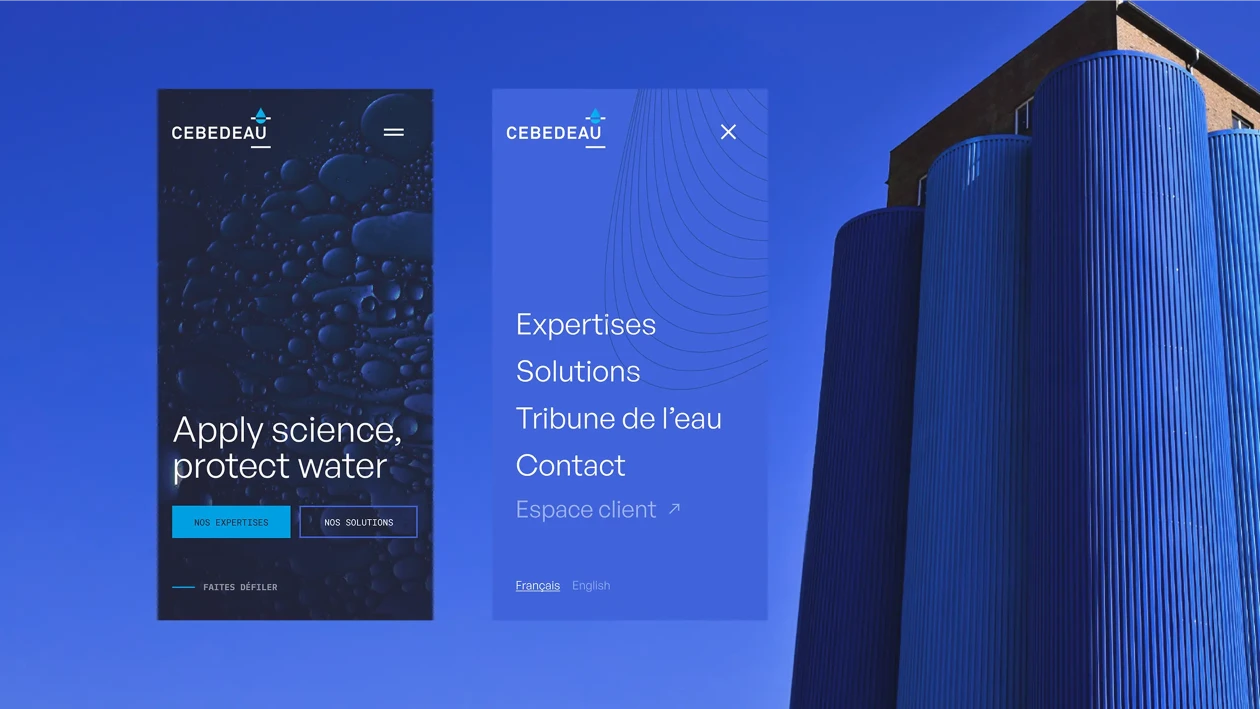 Sample of the Cebedeau's website