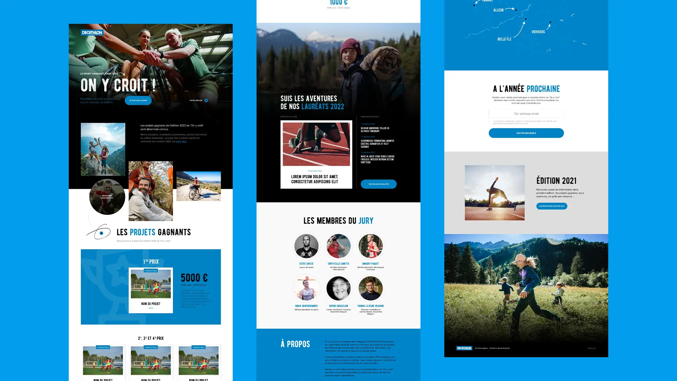Design sample, showing several pages of the website