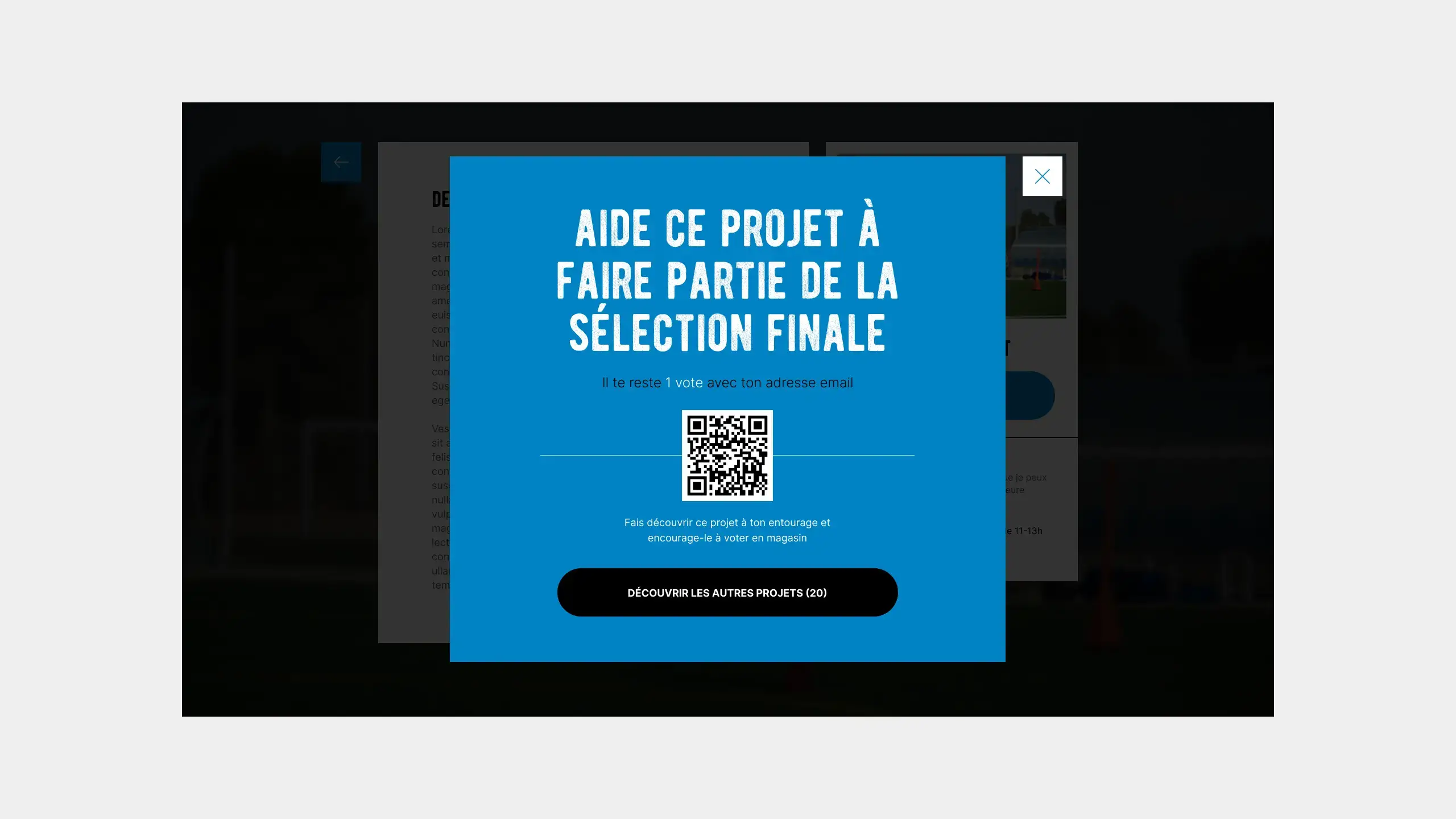 Screenshot of the website showing modal