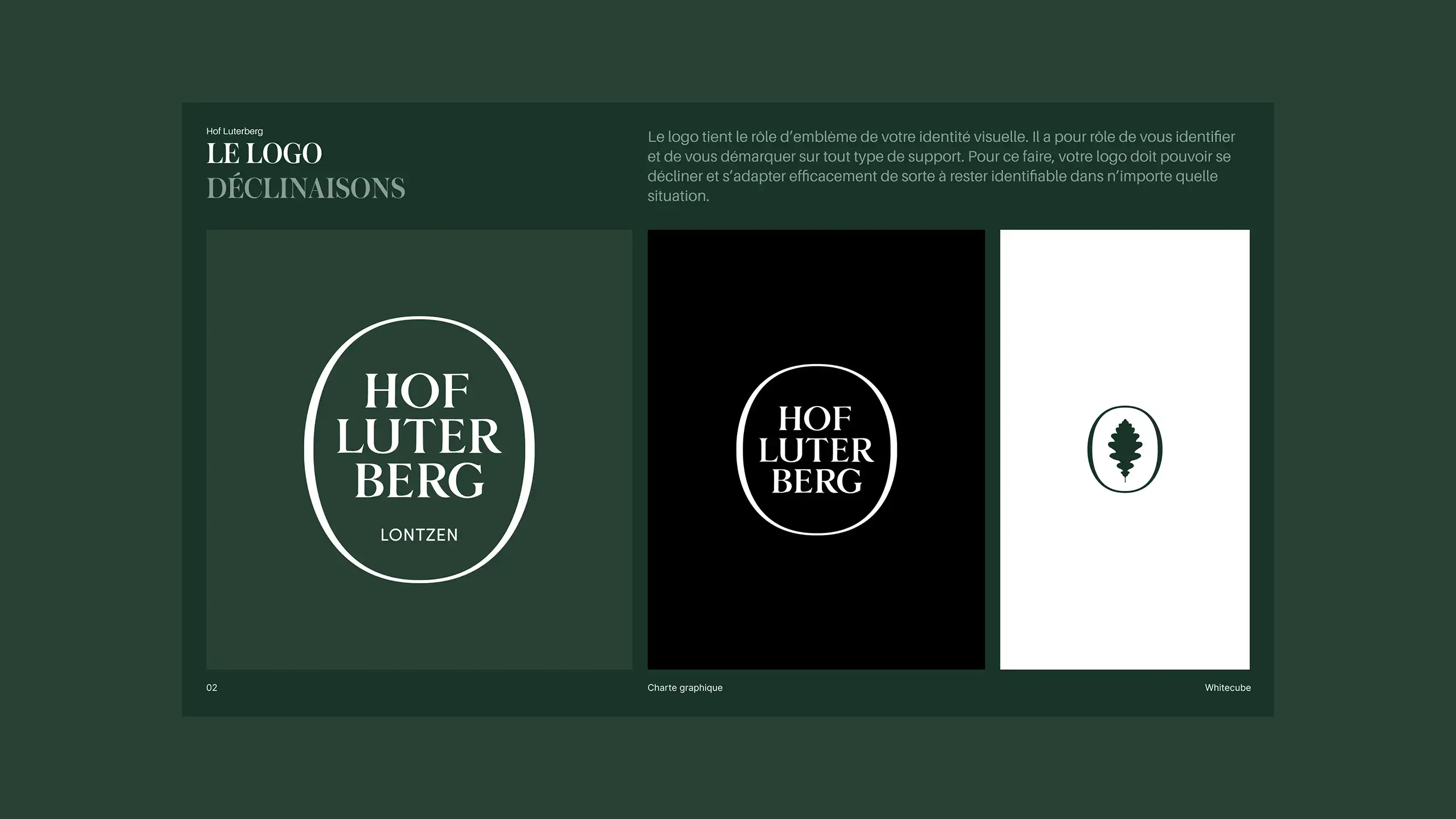 Extrait du chapitre "Logo - déclinaisons" de la charte graphique