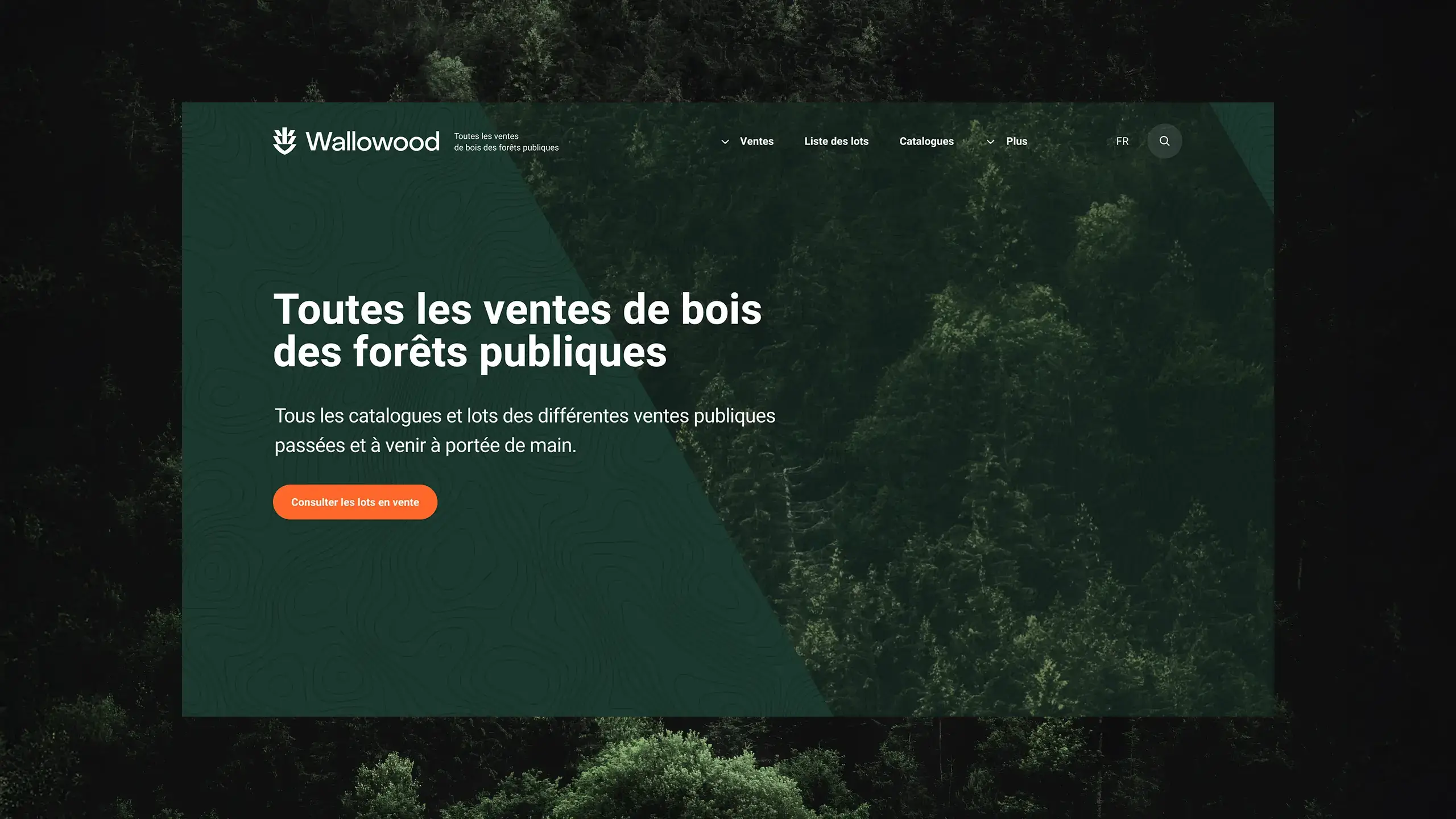 Image représentative du projet Wallowood